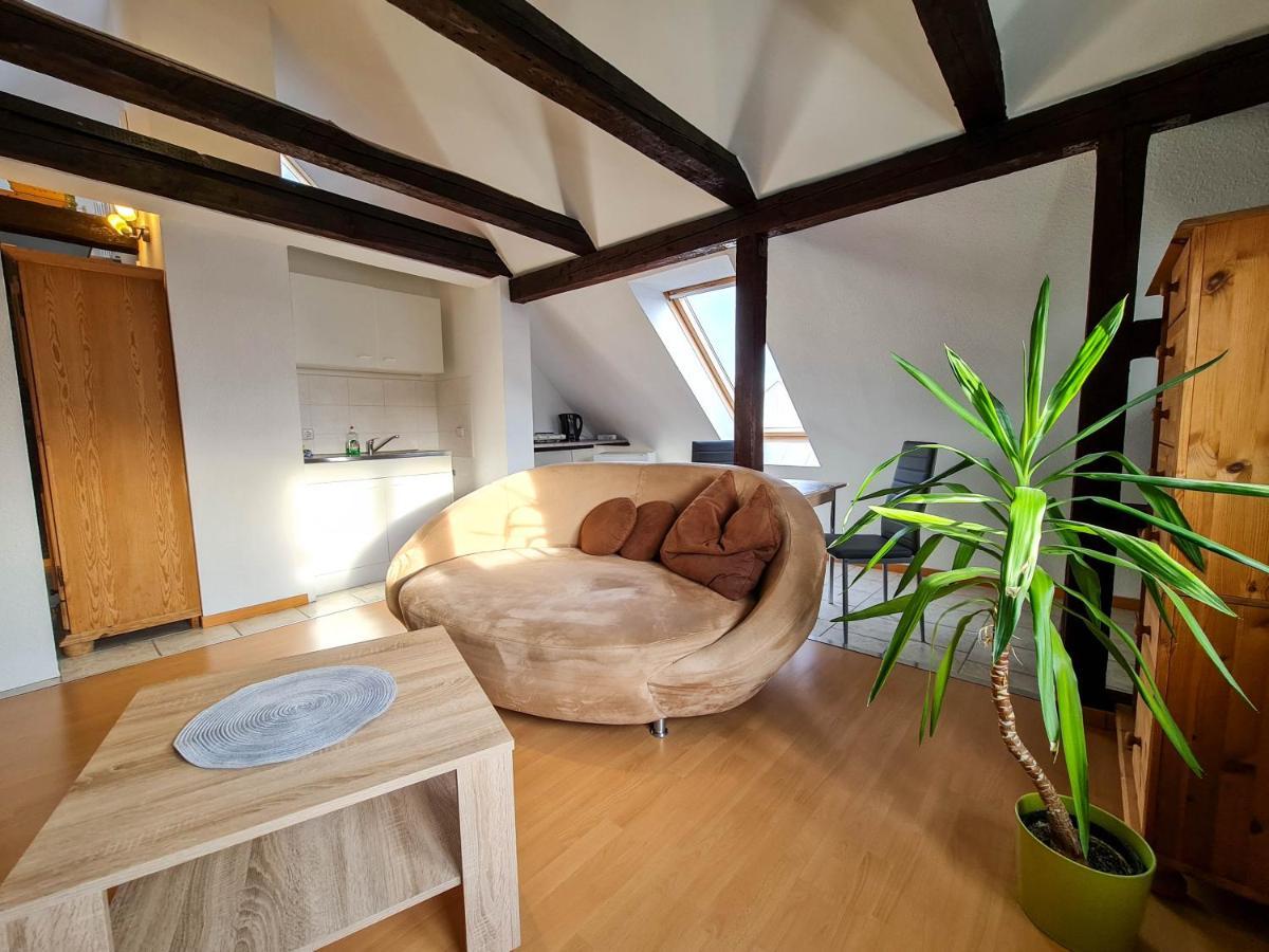 Pension Zum Holzwurm Виттенберге Экстерьер фото